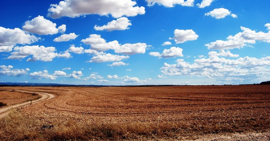 IVA en la adquisici�n de un terreno r�stico